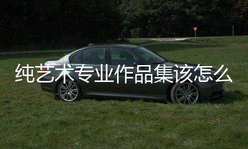 纯艺术专业作品集该怎么做？