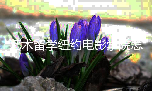 艺术留学纽约电影学院怎么样?