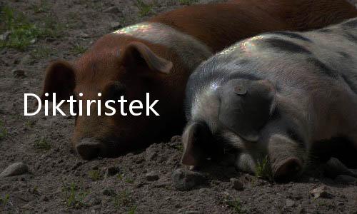 Diktiristek: Status Dosen NIDN, NIDK dan NUP Dihapus, Ini Gantinya