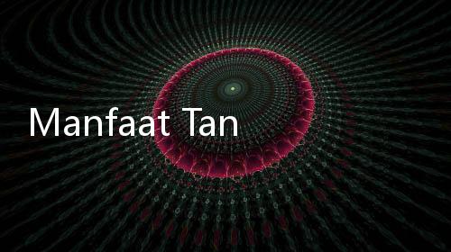 Manfaat Tangerine, Buah Imlek Manis yang Bisa Bikin Glowing