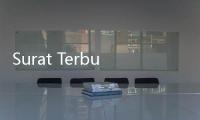Surat Terbuka Rommy: Saya Dijebak