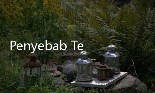 Penyebab Tensi Enembe Naik Terungkap, Singgung Saat Transit di Manado