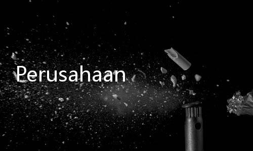 Perusahaan Asal Singapura Siap Masuk ke PT Platinum Wahab Nusantara